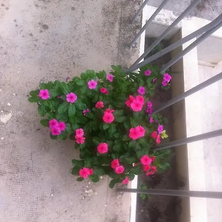 Apartament Marija
